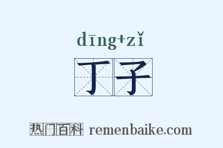 丁子是什么意思的图片